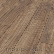 Falquon Blue Line Wood D4188 Morris Walnut