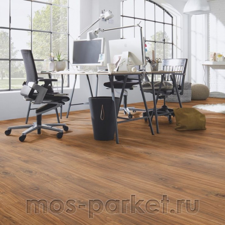 Falquon Blue Line Wood D4188 Morris Walnut