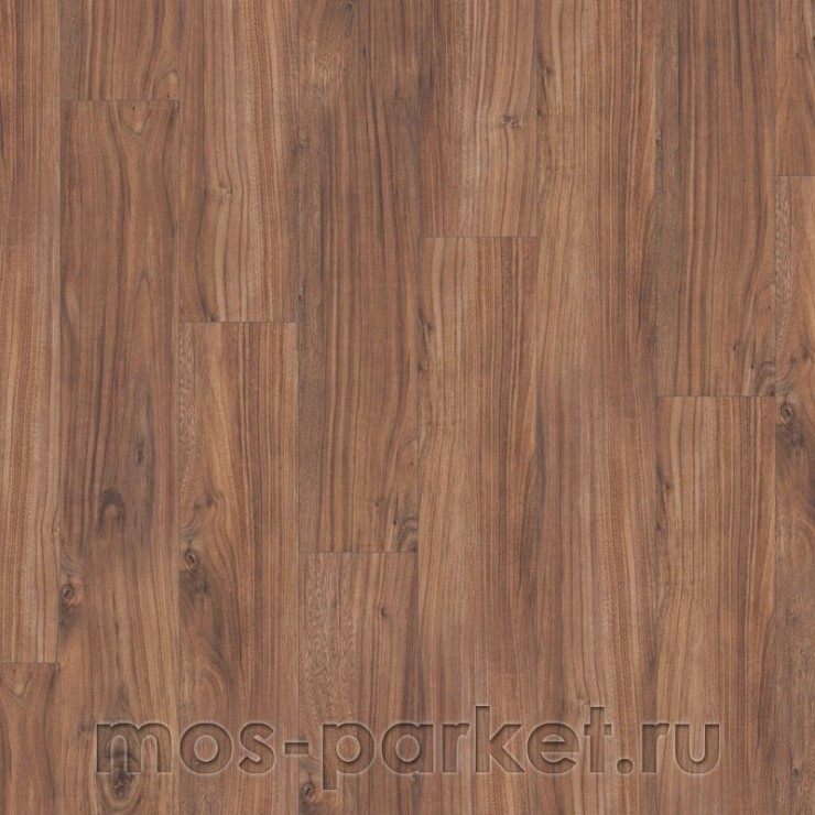 Falquon Blue Line Wood D4188 Morris Walnut