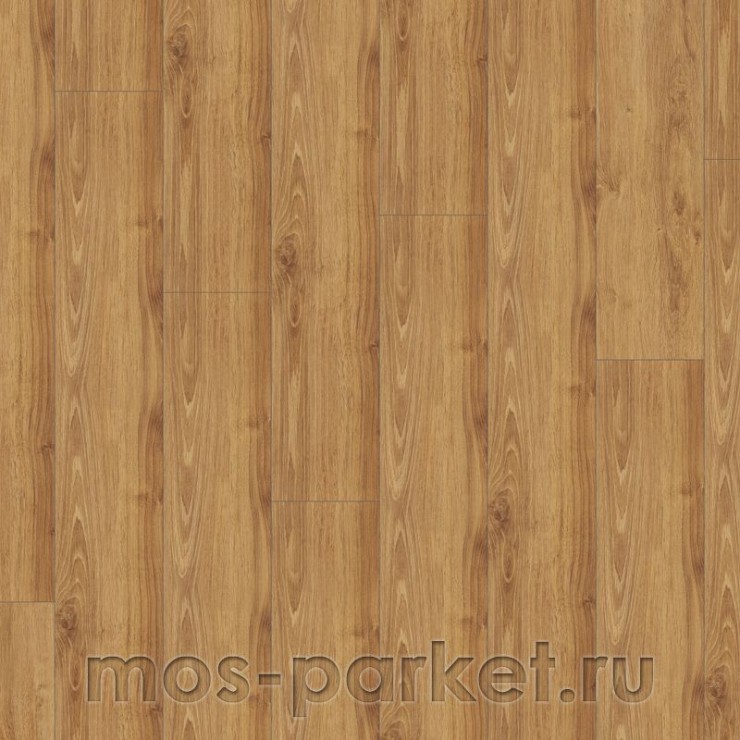 Falquon Blue Line Wood D4189 Victorian Oak
