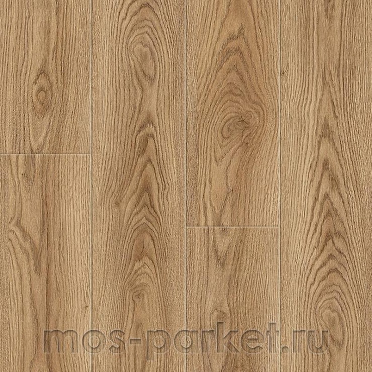 Ламинат Floorwood Profile D4620 Дуб Энтони
