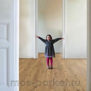 Ламинат Haro Tritty 100 4V 533123 Дуб Портлэнд натур