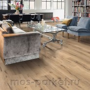 Ламинат Haro Tritty 100 Campus 4V 532060 Дуб Италика кремовый