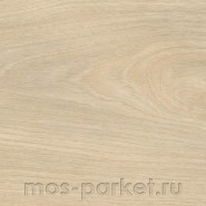 Ламинат Haro Tritty 200 Aqua 4V 544781 Клён серебряный Варио