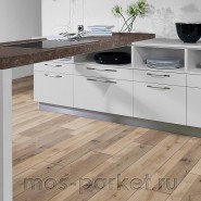 Ламинат Kaindl AQUApro Select Natural Standart Plank K4361 Oak Farco Trend