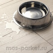 Ламинат Kaindl AQUApro Select Natural Standart Plank K4426 Oak Evoke Claymono