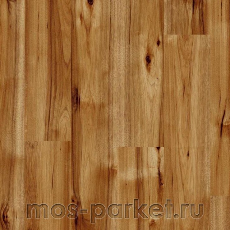 Ламинат Kaindl Easy Touch Premium Plank High Gloss P80070 Гикори Браво