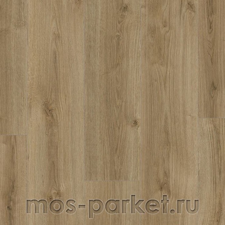 Ламинат Kaindl Natural Touch Standard Plank K4421 Дуб Тренд 8 мм