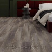 Kastamonu NanoClick NC64 Хабер