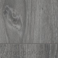 Ламинат Kastamonu Sunfloor SF34 Дуб Гвинея