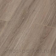 Ламинат Kastamonu Sunfloor SF32 Дуб Джонсон