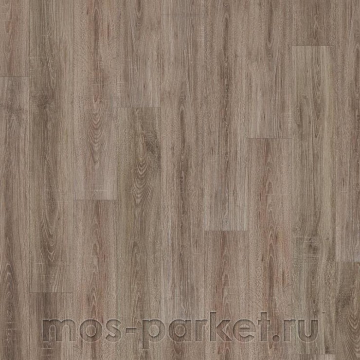 Ламинат Kastamonu Sunfloor SF32 Дуб Джонсон