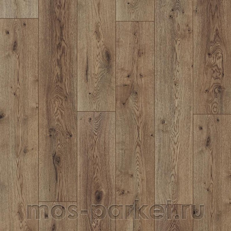 Ламинат Kastamonu Sunfloor SF40 Дуб Вермонт