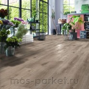 Ламинат Kronotex Exquisit Plus D 6020 Дуб Кашмир титан