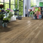 Ламинат Kronotex Exquisit D 4689 Дуб Сьерра золото