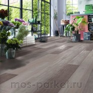 Ламинат Kronotex Mammut Plus D 4738 Дуб северный