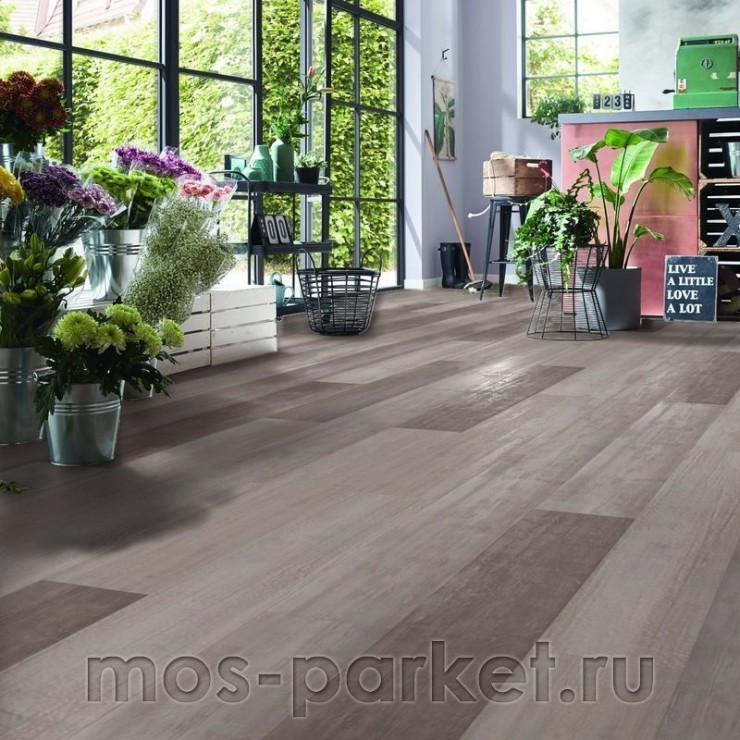 Ламинат Kronotex Mammut Plus D 4738 Дуб северный