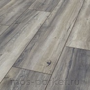 Ламинат Kronotex Robusto D 3572 Дуб портовый серый