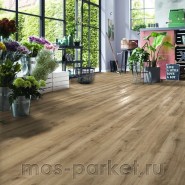 Ламинат Kronotex Robusto D 4685 Дуб Джалон