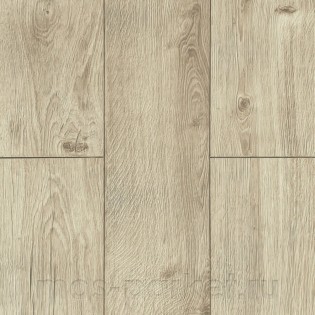 Maxwood Derby Vellvet 2122 Дуб Перпиньян