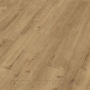 Meister LD 250 07001 Дуб Шампань