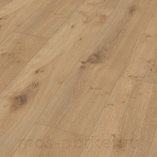 Meister LL 250 06385 Дуб Дакар