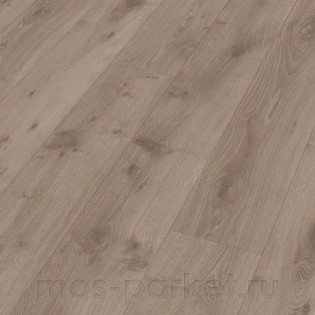 Meister LL 250 07143 Дуб Стрим