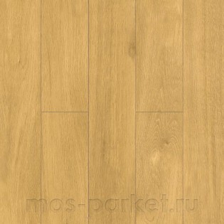 Norland Elegant Strong LF302-12 Дуб Мальта