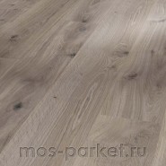 Ламинат Parador Basic 400 1744347 Дуб базальтово-серый