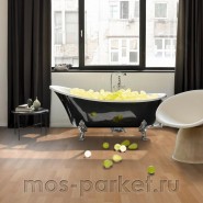 Ламинат Parador Basic 200 1440984 Бук