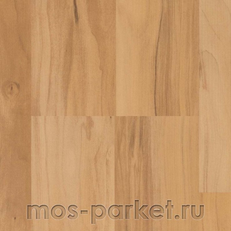 Ламинат Parador Basic 400 1426505 Яблоня янтарная