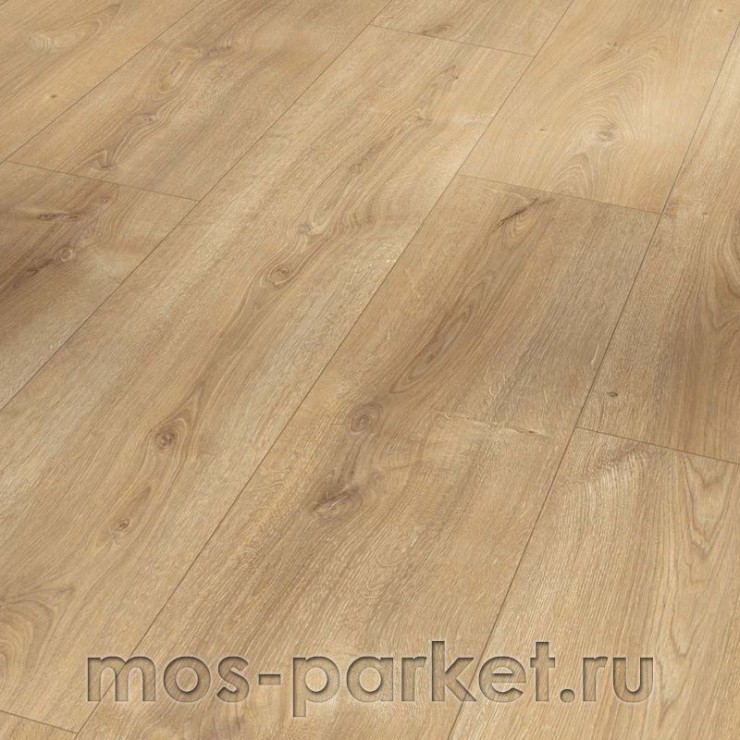 Ламинат Parador Basic 600 1744352 Дуб Нова выбеленный