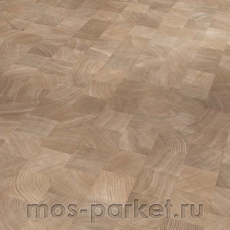 Ламинат Parador Classic 1050 1475582 Дуб поперечный срез выбеленный