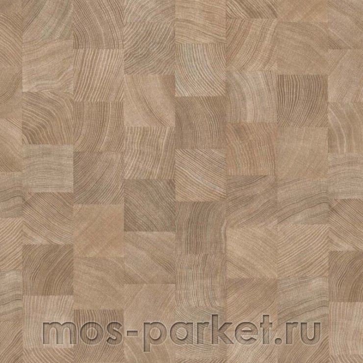 Ламинат Parador Classic 1050 1475582 Дуб поперечный срез выбеленный