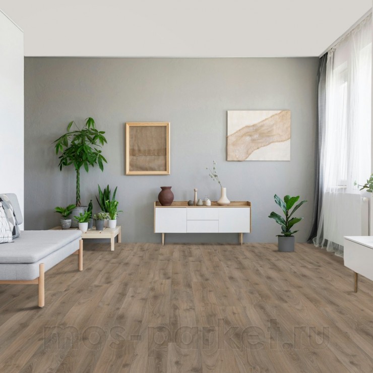 Ламинат Parador Classic 1050 1517691 Дуб Традиция серо-бежевый