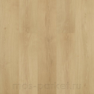 Primavera Деймос 33582 Ханстен