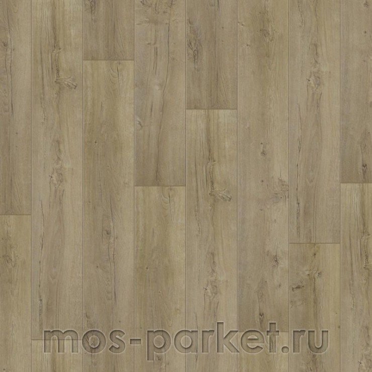 Ламинат Tarkett Estetica Дуб Эффект медовый