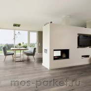 Ламинат Ter Hürne Dureco Classic Line A10 2815 Дуб Тень серый
