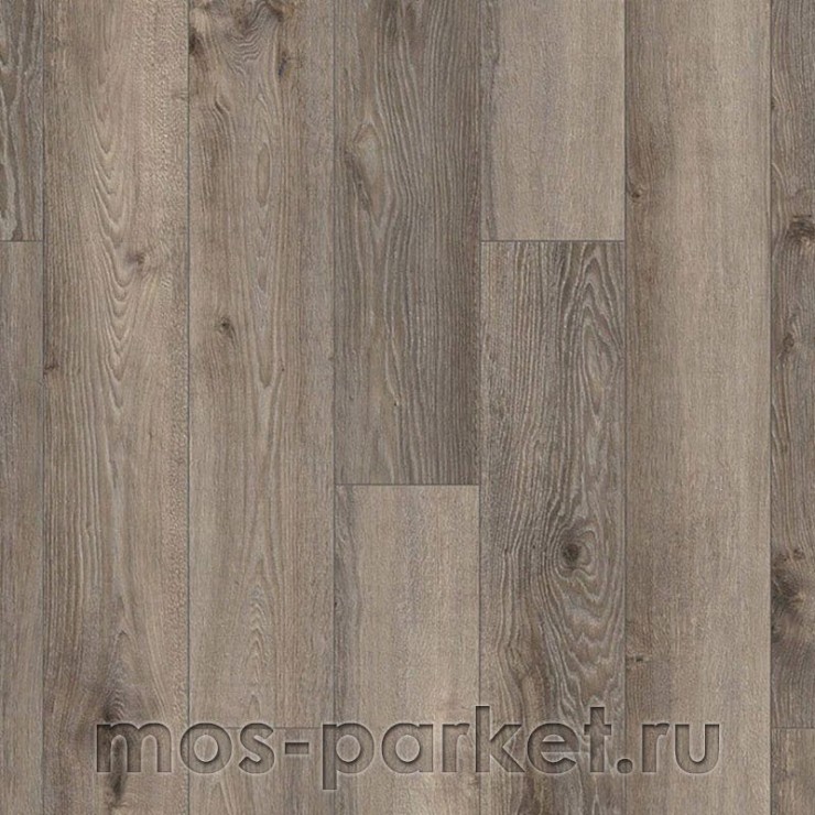 Ламинат Ter Hürne Dureco Classic Line A10 2815 Дуб Тень серый