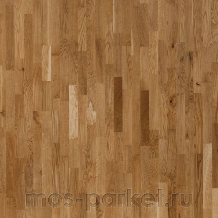 Паркетная доска Focus Floor Season Дуб Classic 3S