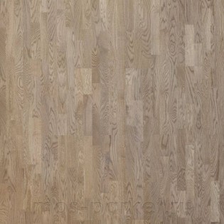 Focus Floor Season Дуб Bit 3S