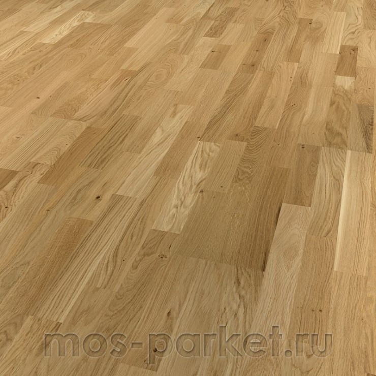 Паркетная доска Focus Floor Season Дуб Glossy 3S
