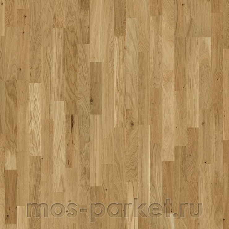 Паркетная доска Focus Floor Season Дуб Glossy 3S
