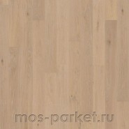 Паркетная доска Haro 4000 Series 535538 Дуб кремово-белый Маркант