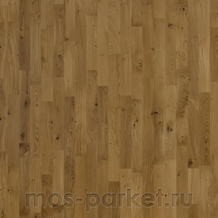 Паркетная доска Focus Floor Classic Дуб Patagonia Matt 3S