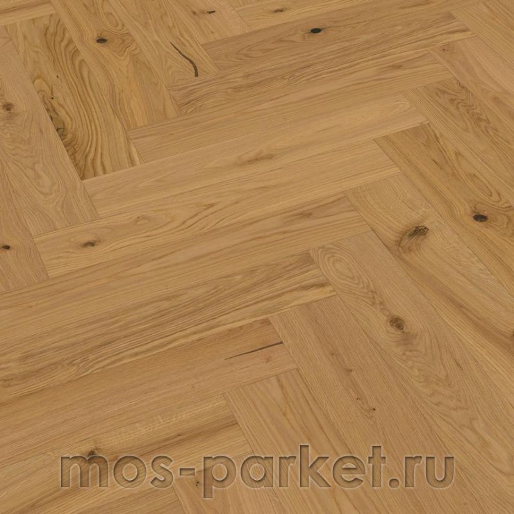Английская елка Meister PS 500 Residence 8377 Дуб Витал