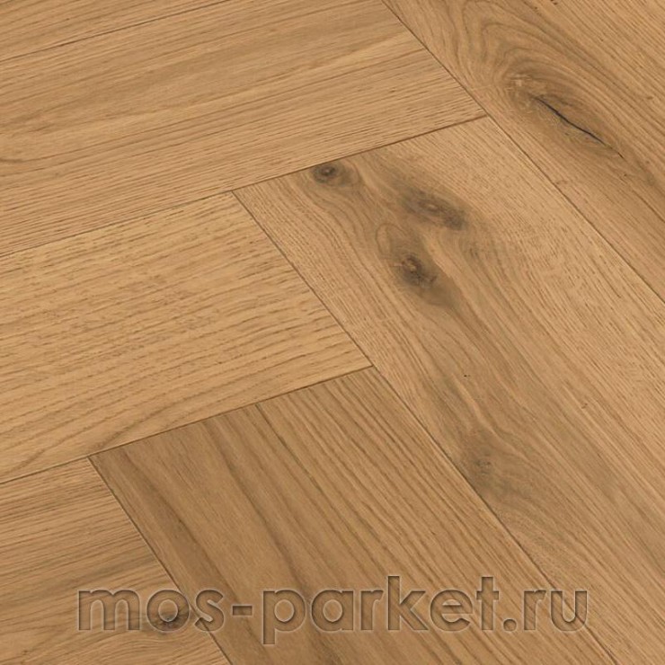 Английская елка Meister PS 500 Residence 8808 Дуб Витал