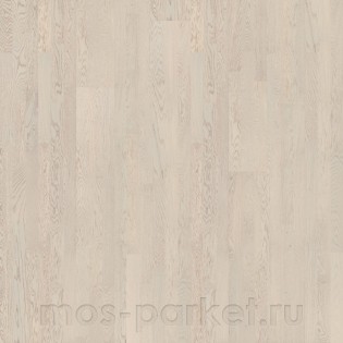Tarkett Salsa Premium Дуб Жемчужный