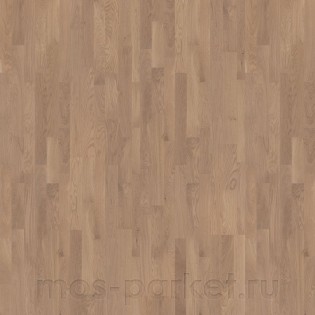 Tarkett Salsa Дуб Ирис