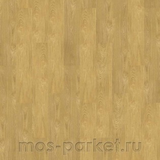 Corkstyle Wood XL Oak Deluxe